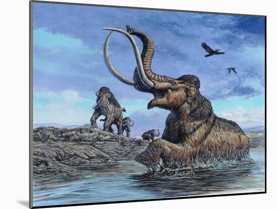 Columbian Mammoth Trapped by Asphalt at La Brea Tar Pits, California-null-Mounted Art Print