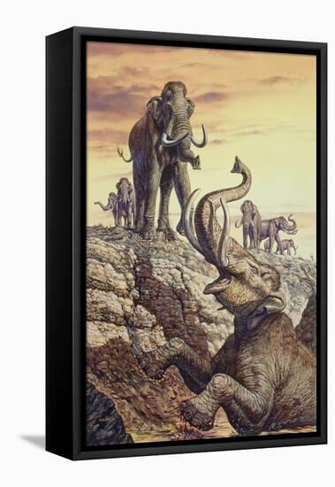 Columbian Mammoth Trapped in a Sinkhole-null-Framed Stretched Canvas