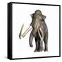 Columbian Mammoth-null-Framed Stretched Canvas