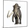 Columbian Mammoth-null-Mounted Premium Giclee Print