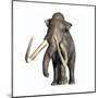 Columbian Mammoth-null-Mounted Art Print