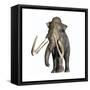 Columbian Mammoth-null-Framed Stretched Canvas