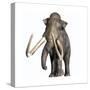 Columbian Mammoth-null-Stretched Canvas