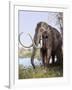 Columbian Mammoth-null-Framed Photographic Print