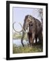 Columbian Mammoth-null-Framed Photographic Print