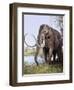 Columbian Mammoth-null-Framed Photographic Print