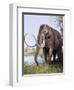 Columbian Mammoth-null-Framed Photographic Print