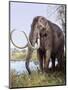 Columbian Mammoth-null-Mounted Photographic Print