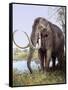 Columbian Mammoth-null-Framed Stretched Canvas