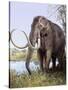 Columbian Mammoth-null-Stretched Canvas