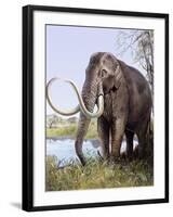 Columbian Mammoth-null-Framed Photographic Print