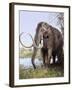 Columbian Mammoth-null-Framed Photographic Print