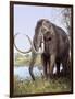 Columbian Mammoth-null-Framed Photographic Print