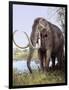 Columbian Mammoth-null-Framed Photographic Print