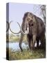 Columbian Mammoth-null-Stretched Canvas