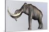 Columbian Mammoth-null-Stretched Canvas