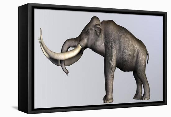 Columbian Mammoth-null-Framed Stretched Canvas