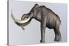 Columbian Mammoth-null-Stretched Canvas