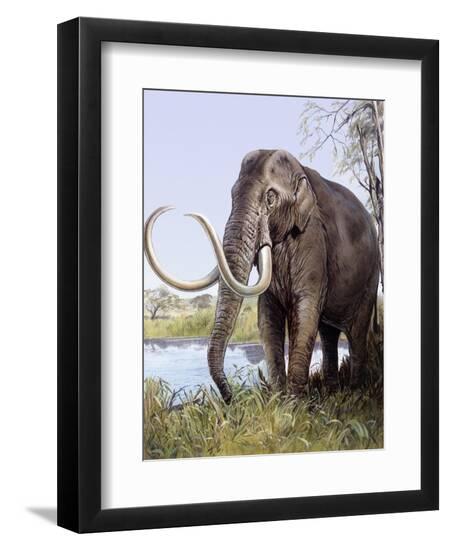 Premium Photographic Print, , large