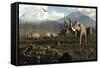 Columbian Mammoths and Bison Roam the Ancient Plains of North America-null-Framed Stretched Canvas