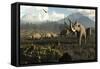 Columbian Mammoths and Bison Roam the Ancient Plains of North America-null-Framed Stretched Canvas