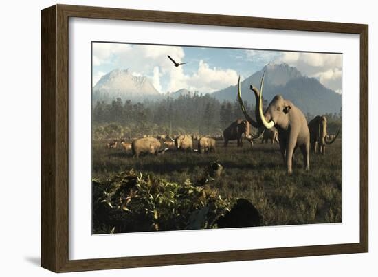 Columbian Mammoths and Bison Roam the Ancient Plains of North America-null-Framed Art Print