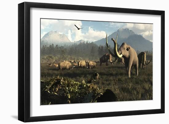 Columbian Mammoths and Bison Roam the Ancient Plains of North America-null-Framed Art Print