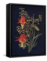 'Columbine',  c1915, (1915)-Emma Graham Clock-Framed Stretched Canvas