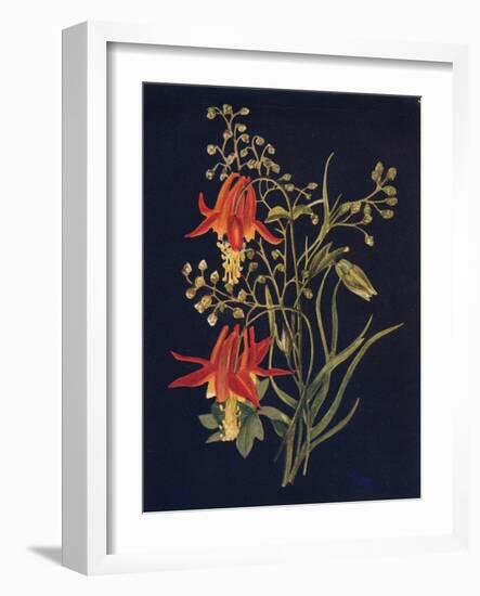 'Columbine',  c1915, (1915)-Emma Graham Clock-Framed Giclee Print