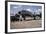 Columbine III Airplane-Ed Stein-Framed Photographic Print