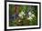 Columbine, Indian Paintbrush, Bluebells, and Lupine, Utah-Howie Garber-Framed Photographic Print