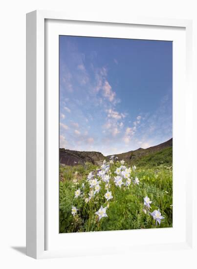 Columbine Morning I-Dan Ballard-Framed Photographic Print