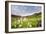 Columbine Morning II-Dan Ballard-Framed Photographic Print