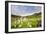 Columbine Morning II-Dan Ballard-Framed Photographic Print