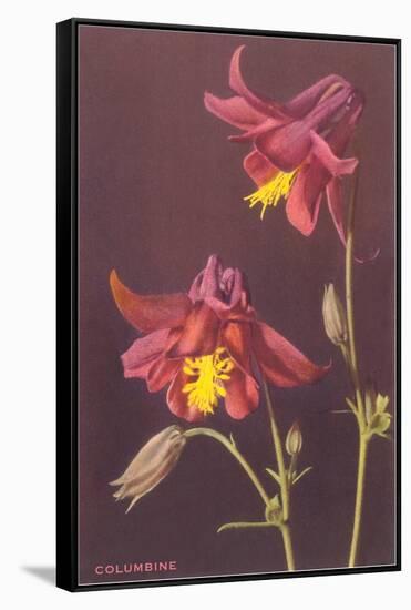 Columbine-null-Framed Stretched Canvas