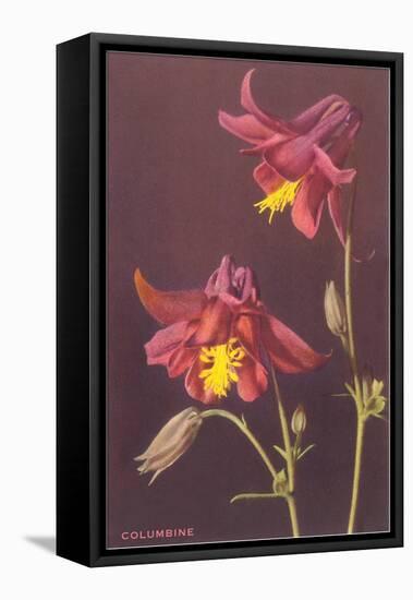 Columbine-null-Framed Stretched Canvas