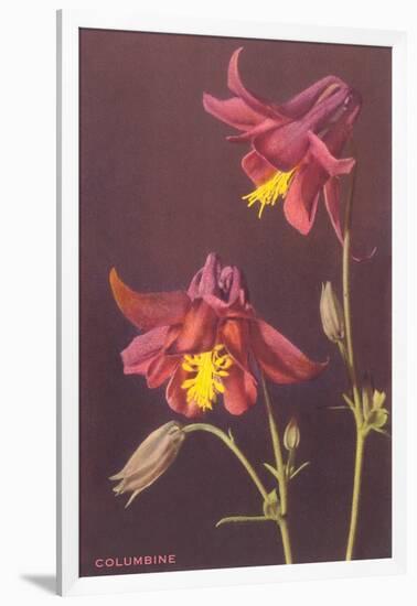 Columbine-null-Framed Art Print