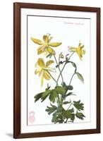 Columbine-null-Framed Art Print