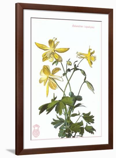 Columbine-null-Framed Art Print