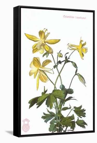 Columbine-null-Framed Stretched Canvas