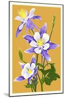 Columbine-Lantern Press-Mounted Art Print