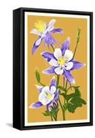 Columbine-Lantern Press-Framed Stretched Canvas