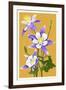 Columbine-Lantern Press-Framed Art Print