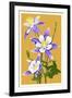 Columbine-Lantern Press-Framed Art Print