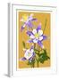 Columbine-Lantern Press-Framed Art Print