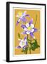 Columbine-Lantern Press-Framed Art Print