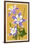 Columbine-Lantern Press-Framed Art Print