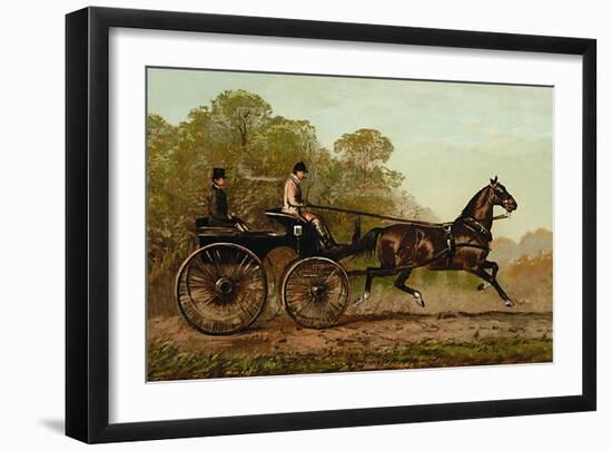 Columbine-Samuel Sidney-Framed Art Print