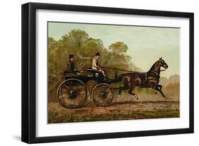 Columbine-Samuel Sidney-Framed Art Print