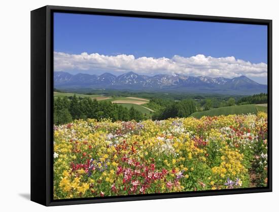 Columbines and Mt. Tokachi Range-null-Framed Stretched Canvas